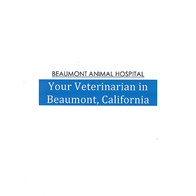 Beaumont Animal Hospital
