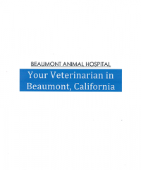 Beaumont Animal Hospital