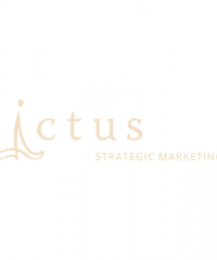 Ictus Strategic Marketing