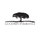 Goodwin Insurance Agency