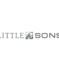 Little & Sons Insurance Services, Inc