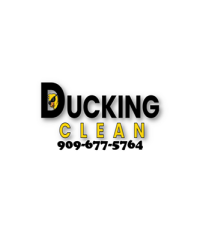 Ducking Clean Windows