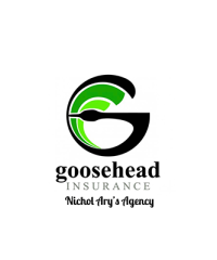 Nichol Ary’s Insurance Agency – Goosehead Ins.