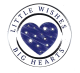 Little Wishes Big Hearts